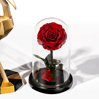 Vente en gros de fleurs décoratives de qualité supérieure pour Noël, mariage, fête des mères, roses rouges préservées sous cloche en verre pour la Saint-Valentin