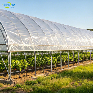 Invernadero Quonset <span class=keywords><strong>de</strong></span> un solo tramo con película UV <span class=keywords><strong>de</strong></span> 0.12mm para la producción <span class=keywords><strong>de</strong></span> <span class=keywords><strong>cilantro</strong></span>, bajo costo y alta luminosidad - Product Image 3