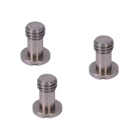 Vis sans fil personnalisées pour caméra, plaque supérieure en acier inoxydable, surface blanchie, marque FAST, fixations GB878, longueur 5-50mm, diamètre 2-10mm