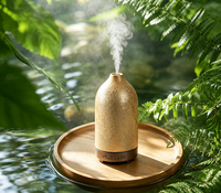 Diffuseur d'arômes portable en céramique, machine à huiles essentielles, aromathérapie, machine à lumière LED, diffuseur d'arômes ultrasonique pour la maison