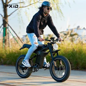 PXID MANTIS P6 Electric Motor 20 Inch Fatbike 20ah 35ah Large Capacity Lithium Battery Electric Mountain Bike