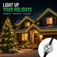 Lumières de Noël extérieures permanentes Ismart pour les avant-toits de la maison, certifiées UL, RGBW programmables, LED point lumineux, étanches IP68, DC12V