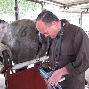 Alat USG Sapi Sektor Mekanik Digital Penuh KX-5100 Murah - Product Image 3