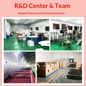 Großhandel Premium-Qualität Vakuumverpackte 100% Getrocknete Apfelwürfel Fruchtsnacks für Gebackene Mittagessen - Product Image 3