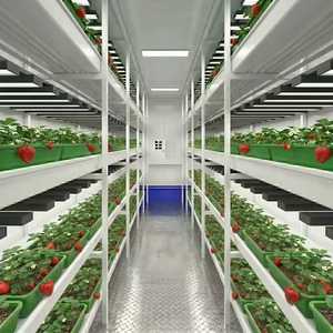 Contenedor de Cultivo Vertical Interior Inteligente con Control Climático de Alta Densidad y Luz LED para Cultivo de Fresas en Todas las Estaciones - Product Image 6