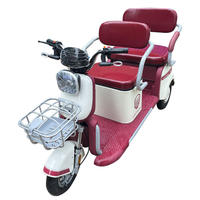 Tricycle Électrique de Luxe Personnalisé 60V 12 Pouces 3 Places, Véhicule Passager à Trois Roues, Pédicab 60V 1000W, Scooter de Mobilité Ouvert