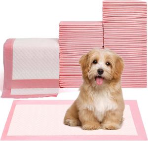 Tapis d'apprentissage de la propreté jetables super absorbants pour chiots et chiens - Product Image 3