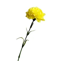 Bunga Anyelir Sentuhan Asli Buatan, Buket Hari Ibu, Dekorasi Pernikahan, Dekorasi Rumah, Pesta, Flora Anyelir