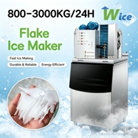 Machine à glaçons en flocons de neige, machine à fabriquer des glaçons en flocons, machine à glace en flocons, 1 tonne d'eau, machine à glace en flocons de neige