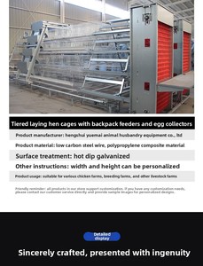 Nouveau système de cages à poulets empilables en A pour l'élevage avicole, construction métallique galvanisée à chaud, nettoyage facile, pour <span class=keywords><strong>poules</strong></span> pondeuses - Product Image 6