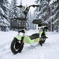 Vélo électrique à cadre basse avec panier avant et siège passager arrière pour adultes, idéal pour les trajets urbains