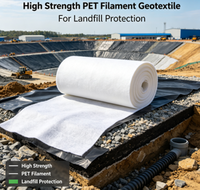 Géotextile en filament PE haute résistance pour la protection des décharges