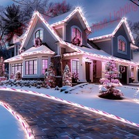 Guirlande lumineuse solaire en forme de canne à sucre facile à installer, étanche IP68 et télécommandée (8 fonctions) |   USB/Adaptateur