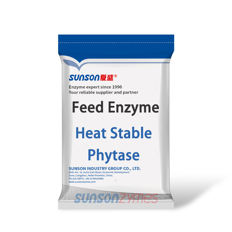 Animal Feed Additive Complex Enzyme Special