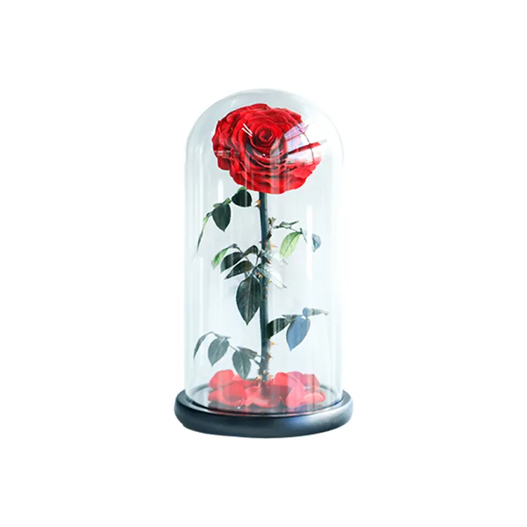 Großhandel Ewige Rose Natürliche Luxus für immer getrocknete rote Rose Blume in Kuppel konserviert