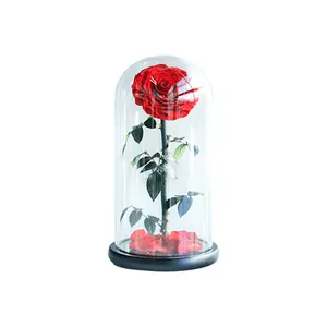 Wholesale Eternal Rose Natural Luxury Preserved Forever Dried Red Rose Flower in Dome