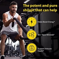 Gummies de Shilajit Pur de l'Himalaya Halal Sans Sucre Qualité Or – Compléments pour le Soutien Immunitaire et Énergétique des Adultes – Approvisionnement Direct Usine