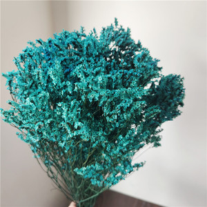 Limonio <span class=keywords><strong>de</strong></span> caspea eterno preservado multicolor para decoración <span class=keywords><strong>de</strong></span> escenario portátil diseño <span class=keywords><strong>de</strong></span> telón <span class=keywords><strong>de</strong></span> fondo <span class=keywords><strong>flores</strong></span> <span class=keywords><strong>de</strong></span> lavanda secas - Product Image 3