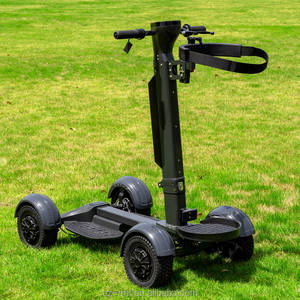 Nouveau <span class=keywords><strong>Buggy</strong></span> de Golf Électrique Populaire 2000W, Trottinette de Golf Pliante 10 Pouces en Promotion - Product Image 5