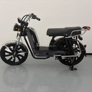 Moto électrique 48V 1000W en gros avec cadre en acier, moteur moyeu arrière, longue autonomie, haute vitesse, batterie au lithium - Product Image 1