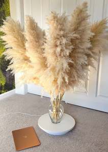 <span class=keywords><strong>PAMPAS</strong></span> GRASS 2-4ft Grande Vente Boho Home Decor Décorations Florales De Mariage Arrangement De Fleurs <span class=keywords><strong>Pampas</strong></span> Bouquet Bohème - Product Image 2