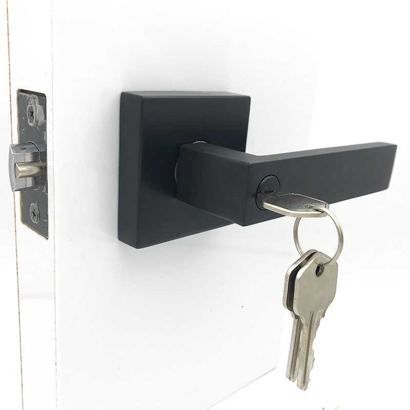 Дверной замок, сверхпрочная трубчатая цилиндрическая ручка, черный ход, дверной рычаг deurklinken с пластиной