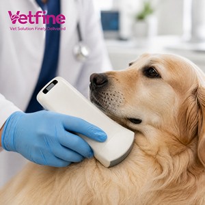 Échographe vétérinaire sans fil à sonde convexe, imagerie en mode B pour petits animaux, équipement de diagnostic pour hôpitaux vétérinaires - Product Image 1