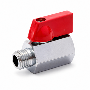 Robinet à bille d'arrêt miniature en laiton de 1/2 po avec joint en PTFE, filetage NPT et BSP femelle et mâle - Product Image 1