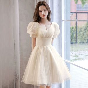 Champagne Short Evening Gown Square Neck Empire Waist Tulle Dress For Banquet Party - Product Image 2