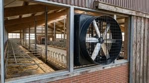 Ventilateur d'extraction professionnel pour élevages avicoles à haut débit d'air, ventilateur de refroidissement pour poulaillers, idéal pour les usines de ventilation industrielle - Product Image 6