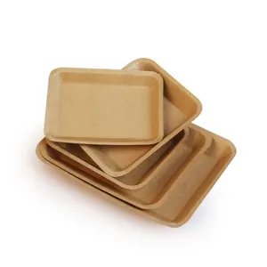 Biodegradable Disposable Paper Plate