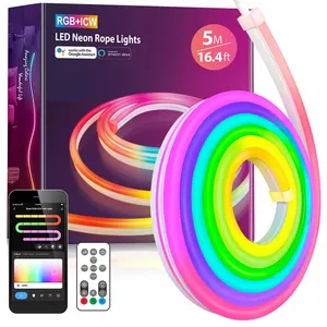 Bluetooth App Control 5M Waterproof RGB IC Addressable DC12V Flex Luz 8MM Flexible PVC Silicone Tube Led Neon Strip Light