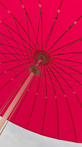 Parasol de terrasse robuste en forme de <span class=keywords><strong>tulipe</strong></span> de 3 m, 24 baleines en fibre de verre, base en marbre de 40 kg, protection UV, imperméable, mobilier d'extérieur pour jardin - Product Image 2