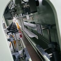 Machine de remplissage de liquides anti-corrosion à 12 têtes avec contrôle PLC et écran tactile pour l'embouteillage de produits blanchissants