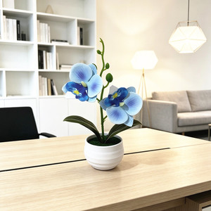 Planta Artificial en Maceta de Orquídea Phalaenopsis en Miniatura Paulon, Dos Flores, 17.5 cm de Alto, Decoración para el Hogar, Accesorio para Fotografía en Exteriores - Product Image 4