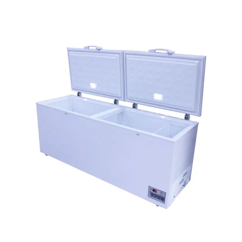 2023 The most popular selling style commercial two-door large space food storage freezer