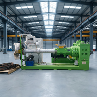 Extrudeuse à froid à vis unique pour caoutchouc, machine d'extrusion de bandes d'étanchéité en EPDM et silicone