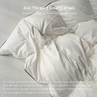 Couette en duvet d'oie de luxe en forme de nuage Insert Queen Size Couette en duvet d'oie d'hôtel légère avec coque en tissu anti-duvet
