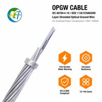 Câble optique OPGW à tube lâche, à fils toronnés, avec élément de renforcement central ACS AA, pour ligne de transmission