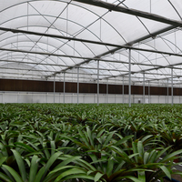 Serre agricole intelligente à faible coût MYXL, serre en plastique avec structure métallique