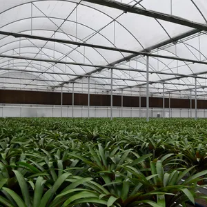 MYXL a basso costo intelligente serra commerciale agricoltura serra struttura in metallo di plastica