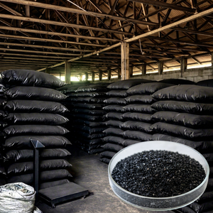 Carbón Activado en Polvo de Cáscara de Coco Granular para Filtración y Purificación, Marca BSJ, Venta al por Mayor, 36 Meses, Sulawesi Tenggara AR001 - Product Image 1