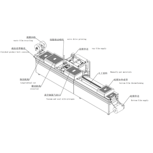 Lead world Custom Packaging Line Automatische Tasche Fisch Thermo forming Pack Vakuum verpackung Versiegelung maschine - Product Image 2