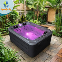 Jacuzzi professionnel en acrylique Balboa pour jardin familial, spa extérieur 3 personnes, 60 jets, spa hydrothérapie encastré, bain à remous