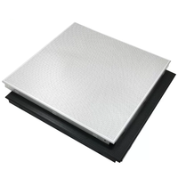 Paneles de Techo Falso Cuadrados de Aluminio de Color Blanco de 2'x2' y 2'x4', Panel de Techo de Aluminio para Techo Suspendido Interior