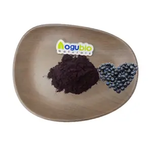 Excellent Quality Reasonable Price bilberry extract price