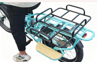 Vélo de livraison électrique 250W avec moteur de moyeu arrière, batterie lithium 48V 15Ah, assistance au pédalage, accélérateur, vitesse maximale 25 km/h, cadre en aluminium