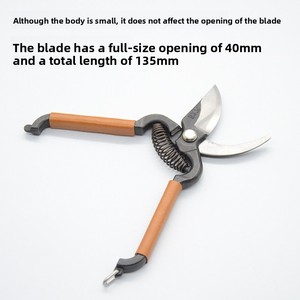 Ciseaux de taille-jardinage <span class=keywords><strong>Syu</strong></span> miniatures importés du Japon pour l'arrangement floral, la cueillette de fruits, usage domestique, pratiques et portables - Product Image 2