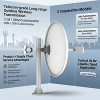 Punto de acceso inalámbrico al aire libre CPE puente Wifi QW Echo 5ac 5GHZ MIMO 40Km 27dBi ganancia de antena PTP/PTMP comunicación barata de 27dBi