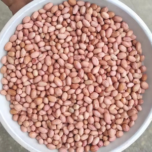 Chất lượng cao xuất khẩu lớp rang đậu phộng khô lạc Snack thực phẩm bơ đậu phộng sản xuất nguyên liệu chế biến số lượng lớn Nhà cung cấp - Product Image 2